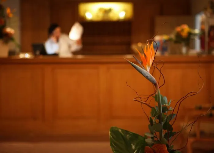 فندق ليسينغ